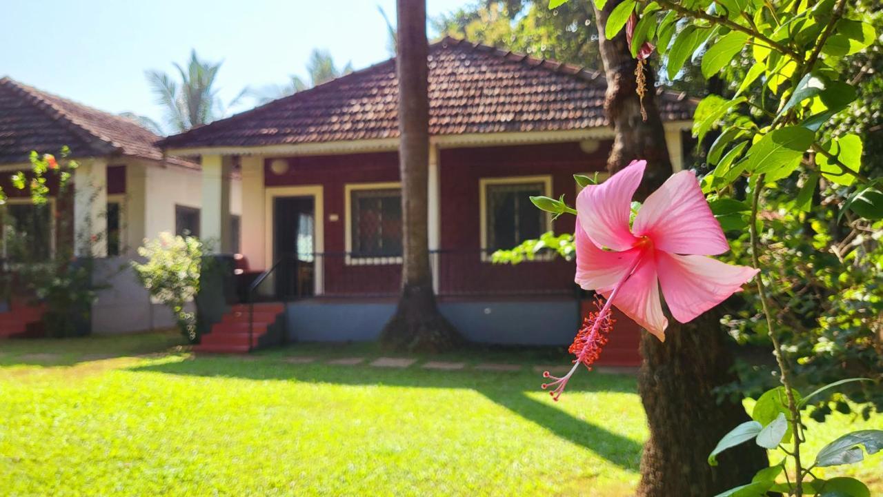 Garden Villa Vagator Exterior photo